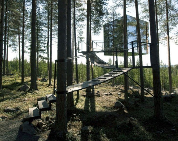 Epic Treehouses